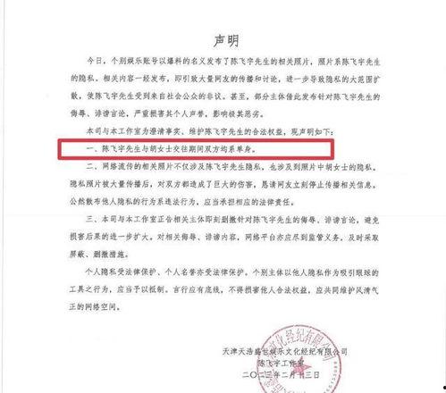 陈飞爆料视频大全最新,揭秘娱乐圈不为人知的一面