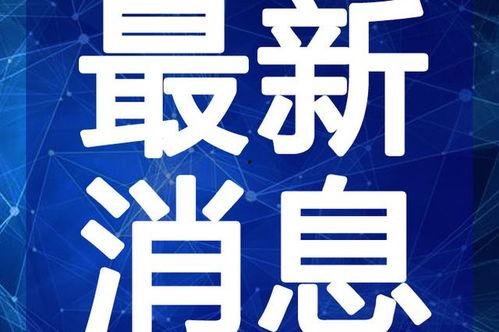 都市爆料诈骗案例视频最新,视频揭露诈骗手段，警惕陷阱！