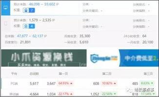 最新发布热点爆料,揭秘神秘事件背后的真相