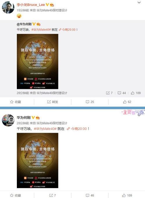 首发爆料最新视频,首发爆料！最新视频揭秘惊人内幕