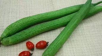 太阳wall吃瓜爆料最新,娱乐圈最新瓜料大揭秘！