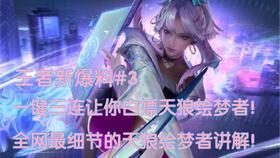 王者皮肤爆料最新讲解,炫酷特效与独特设计大揭秘