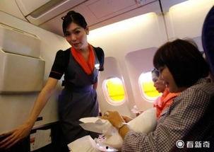 泰国空姐爆料事件视频播放,揭秘航班内幕与真实服务真相