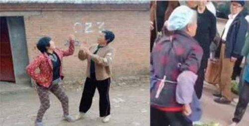 爆料老太太吵架视频在线观看