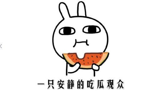 吃瓜事件,揭秘娱乐圈背后的真相与争议